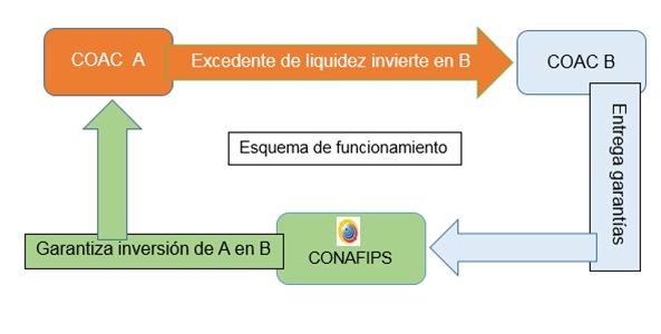 Fipo 23