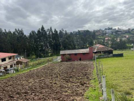 Foto del bien