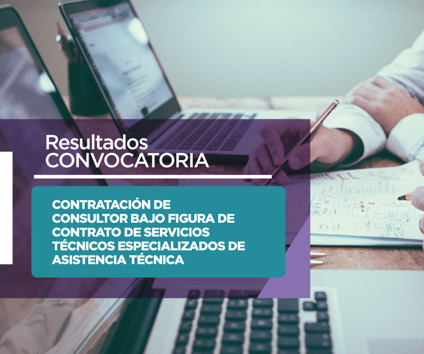 conafips_convocatoria_consultor