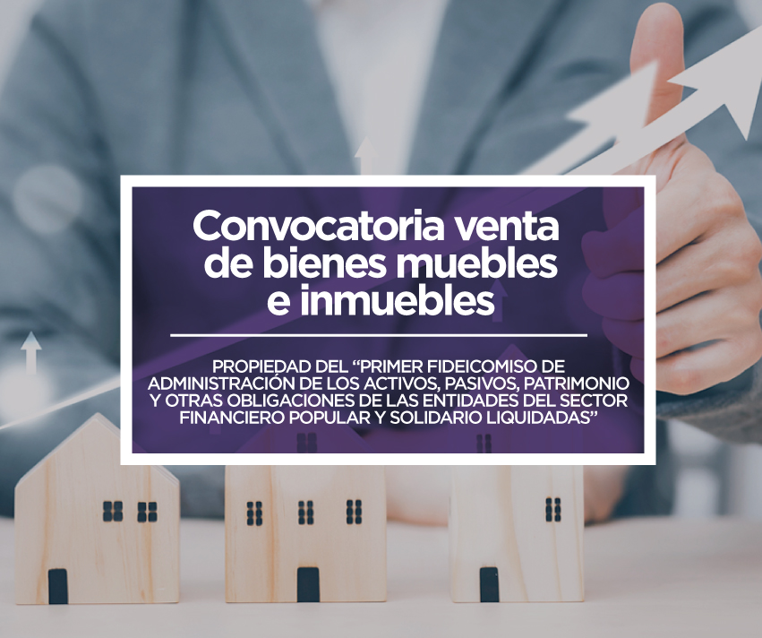 convocatoria_conafips_bienesinmuebles_muebles_b