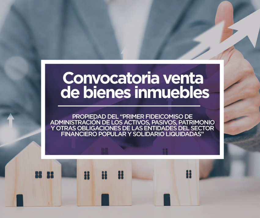 convocatoria_conafips_bienesinmuebles_muebles_c